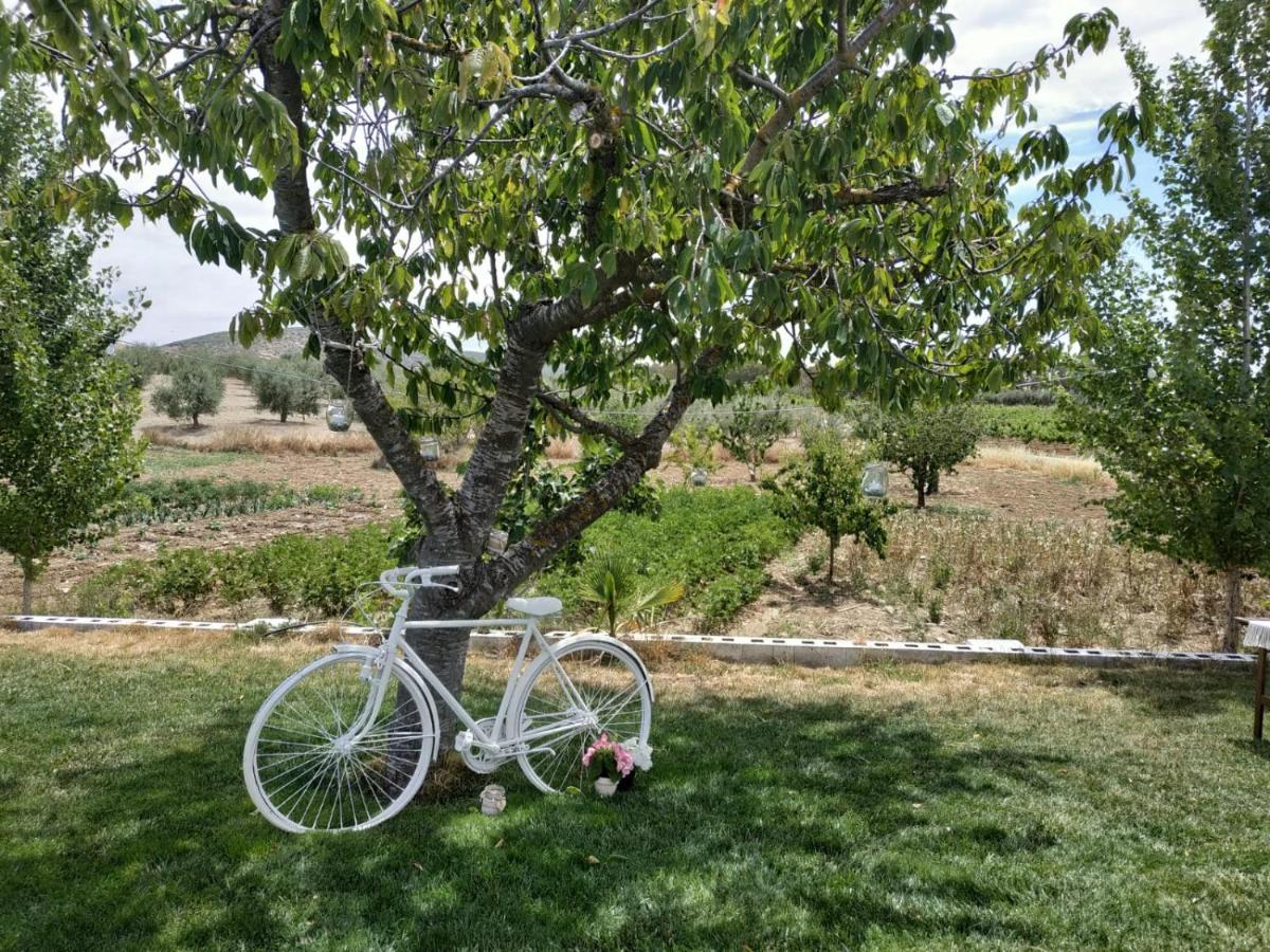 Casa Rural Huerta Los Canos Bienvenida Екстериор снимка